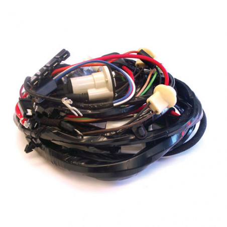 Forward Lamp Harness w/ Gauges & Internally Regulated Alternator Driver Side