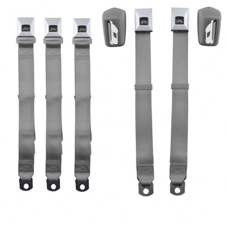 Deluxe Fisher Coach Seat Belt Set, Front and Rear, Green