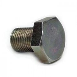 Caliper Backing Plate Bolt