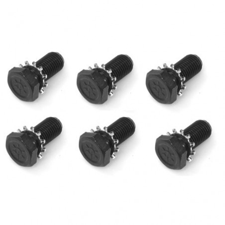 Flywheel to Crank Bolts 12 Piece, 4 Speed