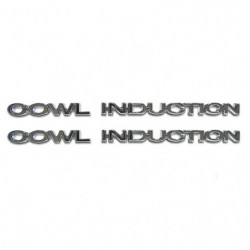 Cowl Induction Hood Emblem Set