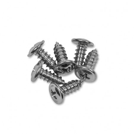 Convertible Top Boot Channel Screws, Chrome