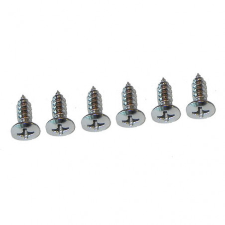 Coupe Sunvisors Screw Kit