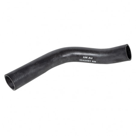 Small Block Lower Radiator Hose