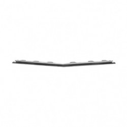 Rally Sport Lower Grille Molding