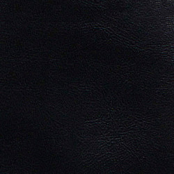 Standard Bucket Seat Covers, Black S70