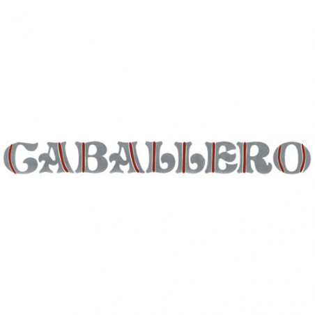 GMC Caballero Tailgate Decal (Medium Blue / Dark Blue)