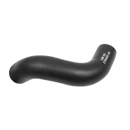 Small Block Lower Radiator Hose