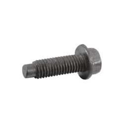 G-Body Door Hinge Bolt