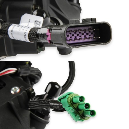 Holley EFI Terminator X Stealth - 8 Injectors - Black