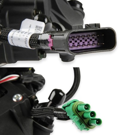 Holley EFI Terminator X Max Stealth - Ls 24X - Black