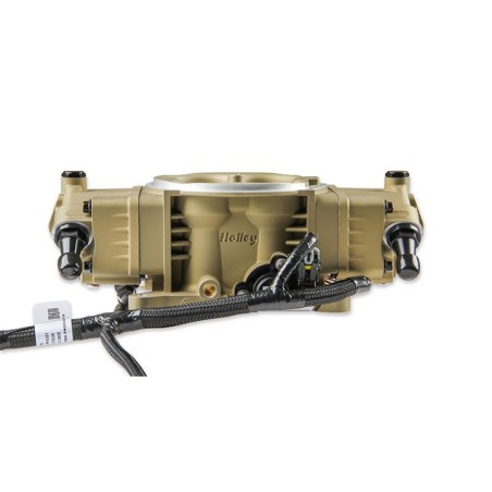 Holley EFI Terminator X Max Stealth - Ls 24X - Gold
