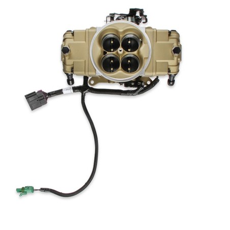 Holley EFI Terminator X Stealth - Ls 58X - Gold