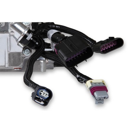 Holley EFI Terminator X Stealth - Shiny