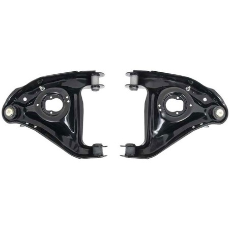 Lower Control Arms: Rubber Bushings