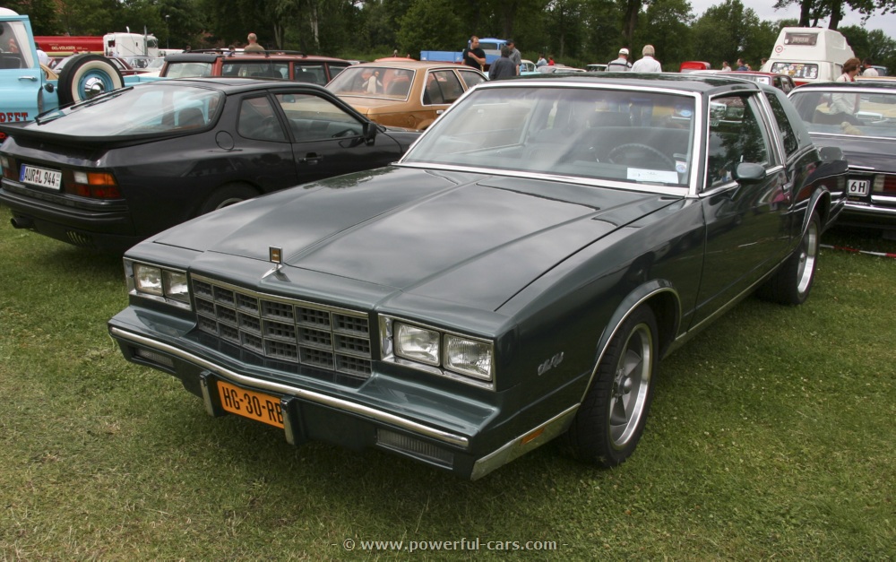 1981 Monte Carlo Parts and Restoration Specifications.