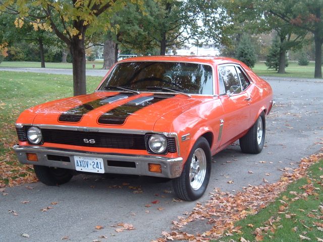 annettes 1972 nova