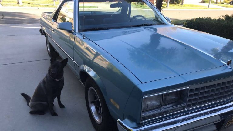 chad r's 1987 el camino