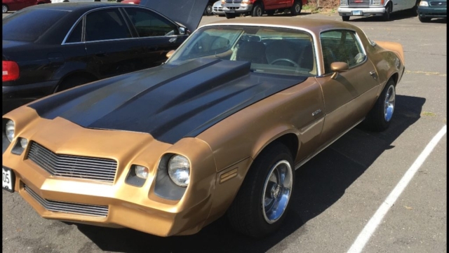 1981 camaro