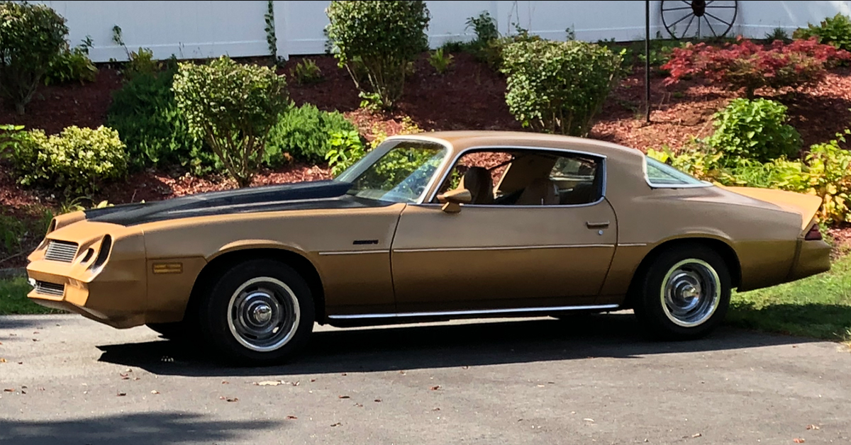 1981 camaro