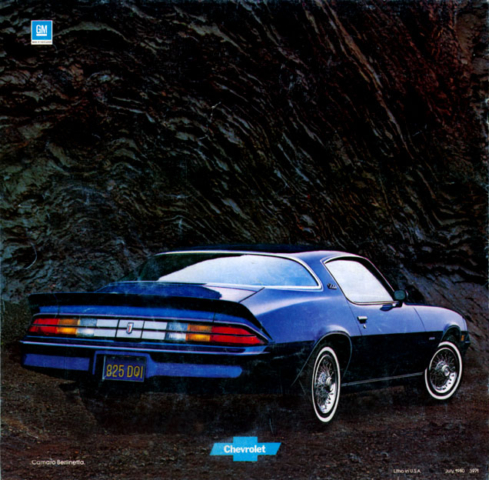 1981 Camaro OEM Brochure (10)