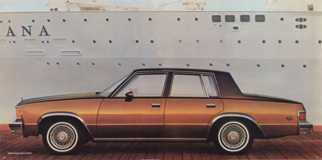 1981 Malibu OEM Brochure (3)