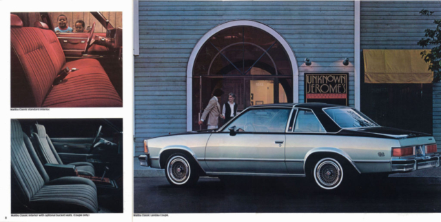 1981 Malibu OEM Brochure (5)