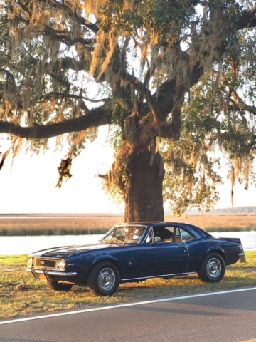 1967 Camaro