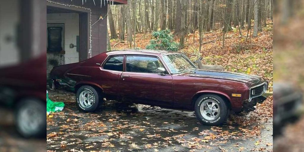 1973 Chevy Nova