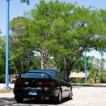 Spring Car Show 2025