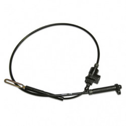 TRANSMISSION KICKDOWN SWITCH - Lectric Limited