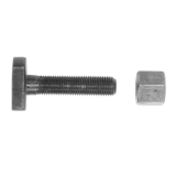 1962-1974 Nova Leaf Spring T Bolt And Nut Image