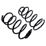 1964-1966 El Camino Rear Coil Springs Image