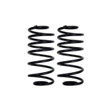 1982-1992 Camaro Detroit Speed Rear Drop Coil Springs Image