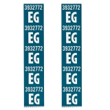 1968 Camaro SS396 Coil Spring Decals Code EG Image