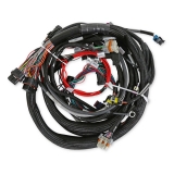 1978-1987 Regal  LS1/6 (24x/1x) Engine Main Harness, Extended Length Image