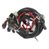 1967-2002 Camaro LS1/6 (58x/1x) Engine Main Harness, Extended Length Image