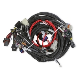 1978-1987 Regal  LS1/6 (58x/1x) Engine Main Harness, Extended Length Image