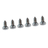 1967-1969 Camaro Coupe Sunvisors Screw Kit Image