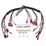 Universal Intellitronix 10 Circuit Universal Wire Harness Image