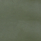 1976 Monte Carlo Front Door Panels, Jade Green M19 Image