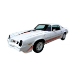 1980-1981 Camaro Z28 Decal Kit Light Silver / Medium Silver / Charcoal Image