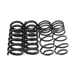 UMI Performance Suspension Springs