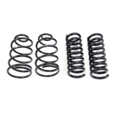 UMI Performance Springs